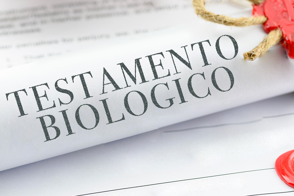 Modulo testamento biologico da scaricare fac simile word